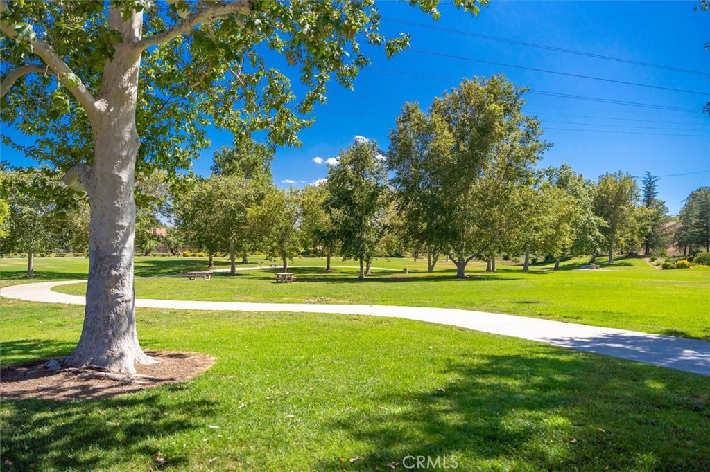 28523 Red Cedar Property Photo 43