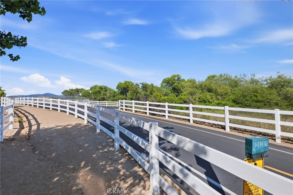 24208 Via Perla Property Photo 48
