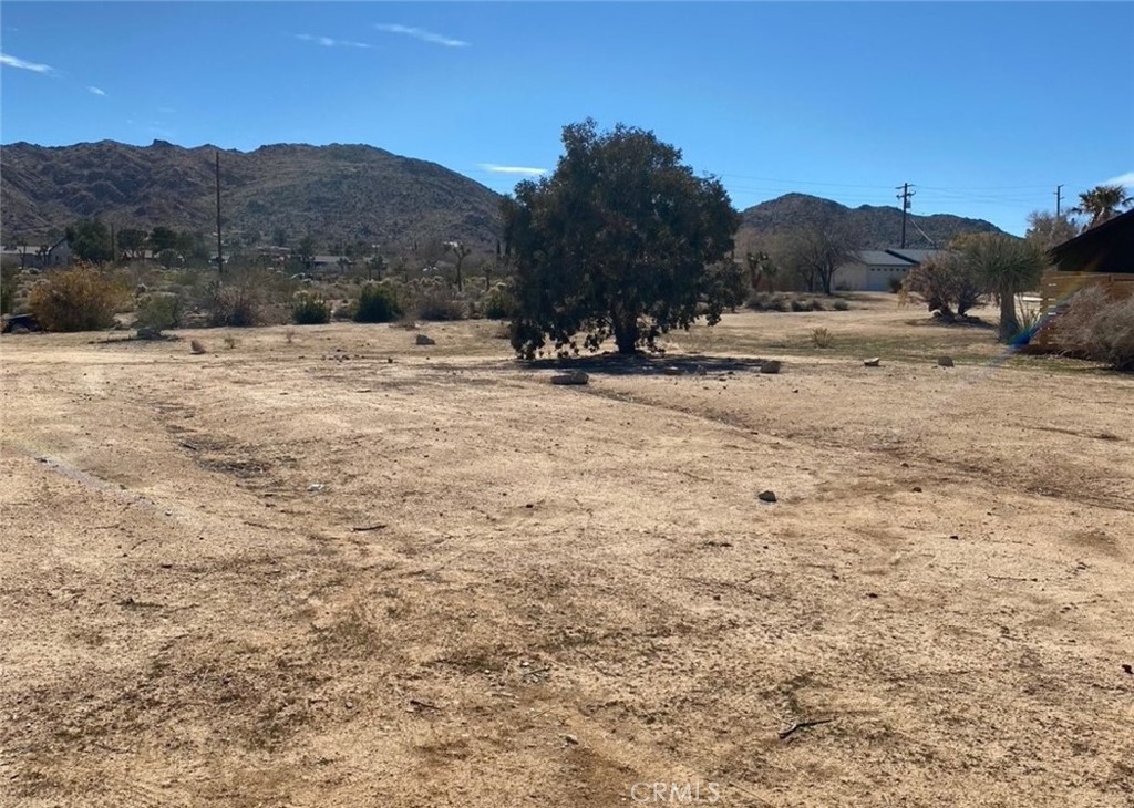 60450 Alta Mesa Drive Property Photo 5