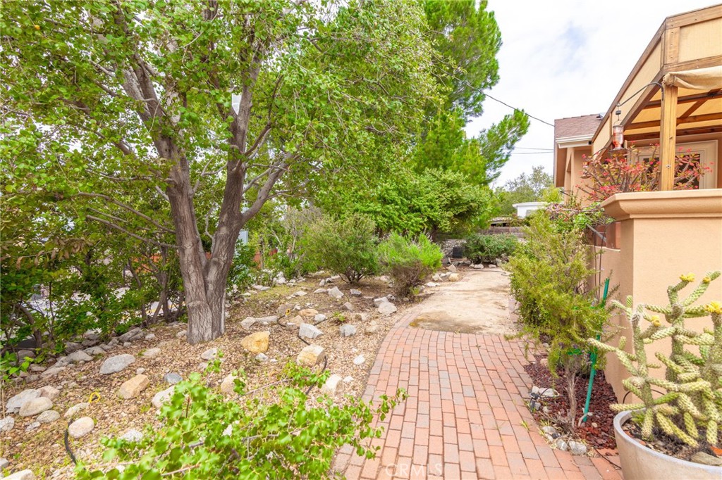 10424 Tujunga Canyon Property Photo 44
