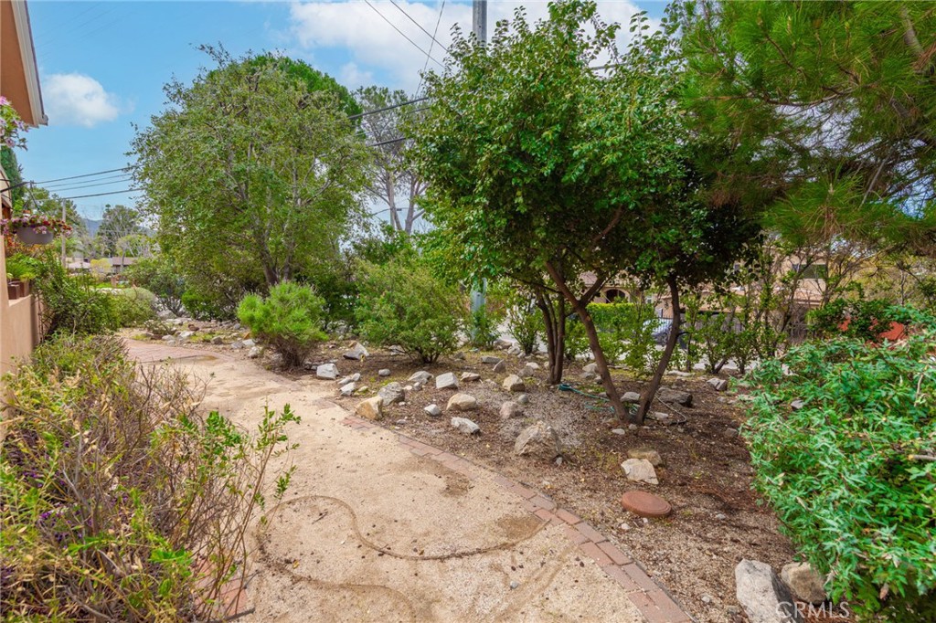 10424 Tujunga Canyon Property Photo 45