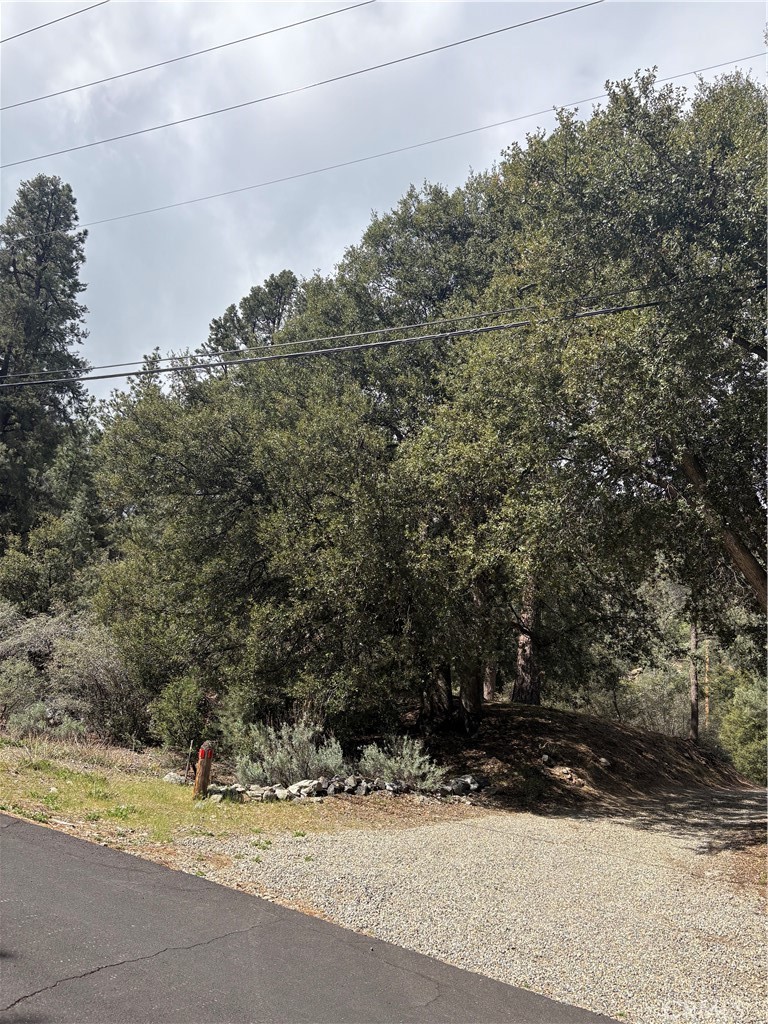 1709 Zion Property Photo 1