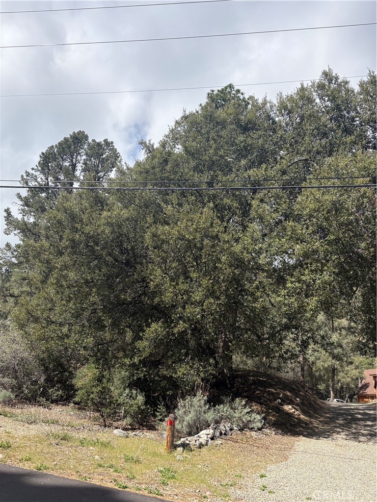 1709 Zion Property Photo 2
