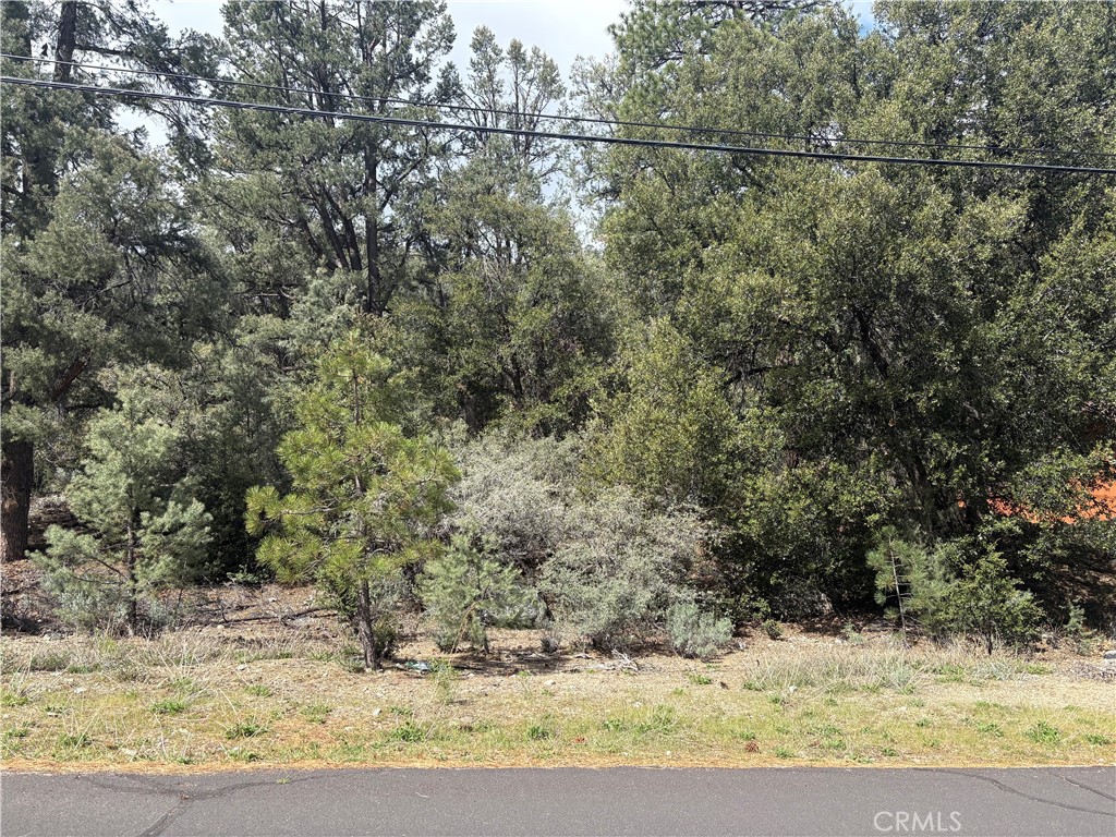 1709 Zion Property Photo 3