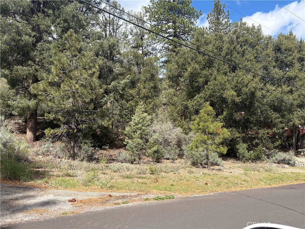 1709 Zion Property Photo 4