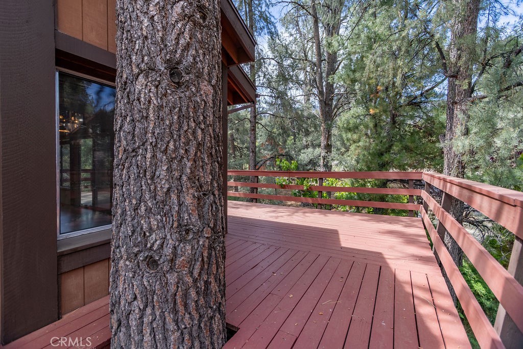 15908 Edgewood Property Photo 22