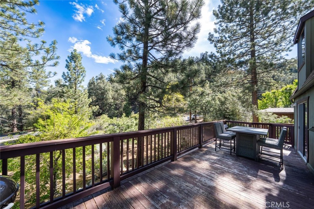 1725 Matterhorn Property Photo 21