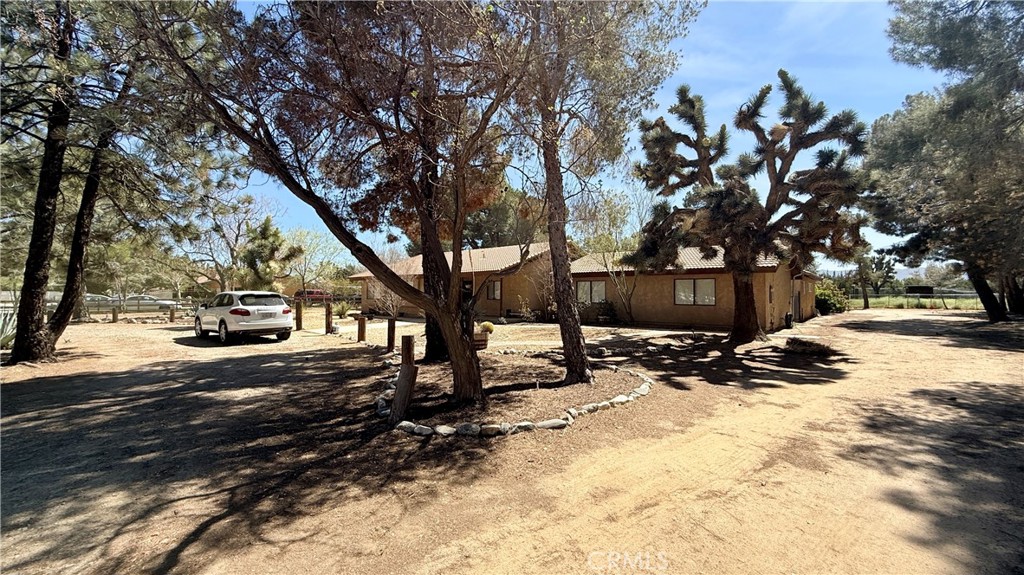2342 W Avenue N Property Photo 12