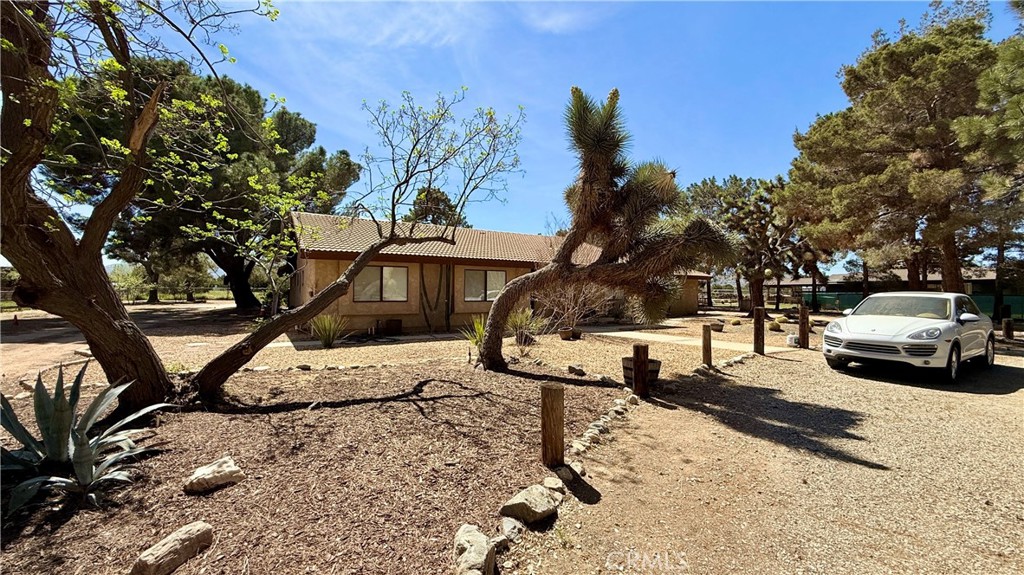 2342 W Avenue N Property Photo 17