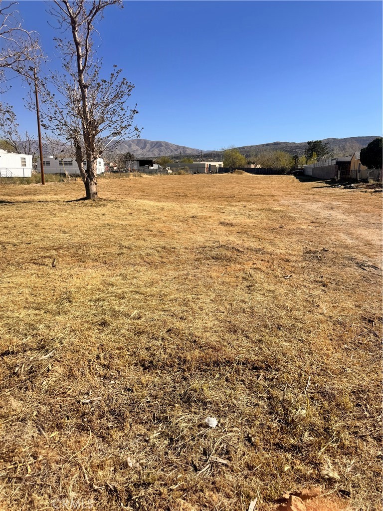 8026 Pearblossom Property Photo 3
