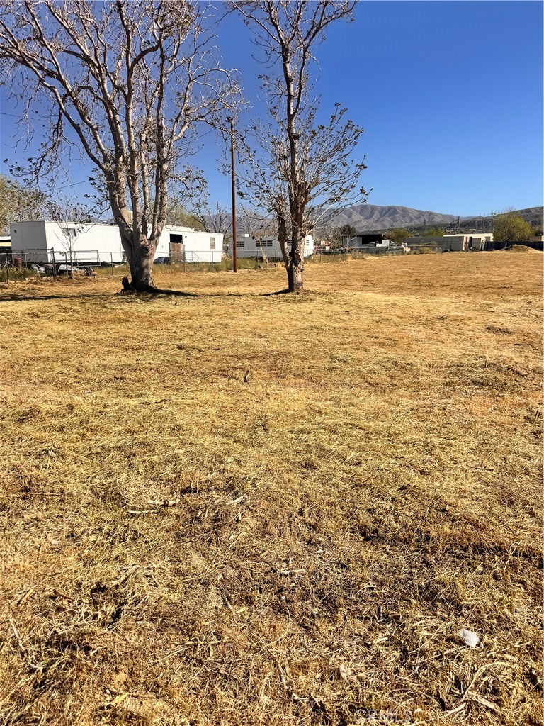 8026 Pearblossom Property Photo 4
