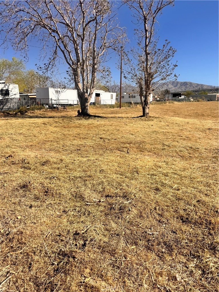 8026 Pearblossom Property Photo 8