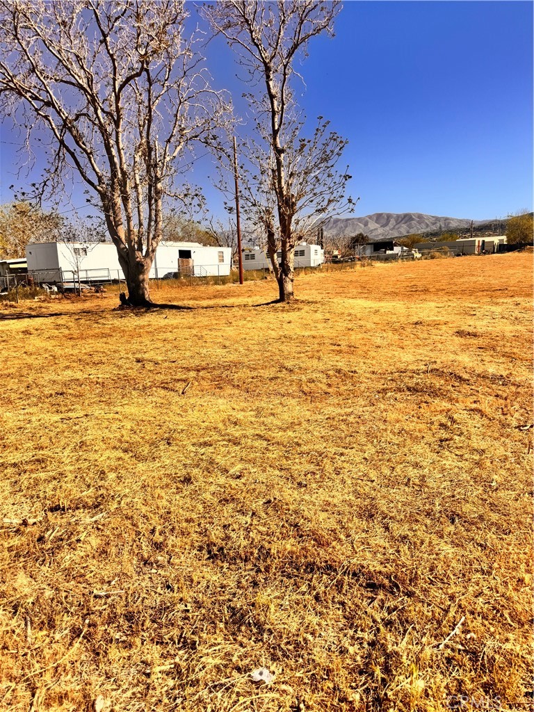 8026 Pearblossom Property Photo 18