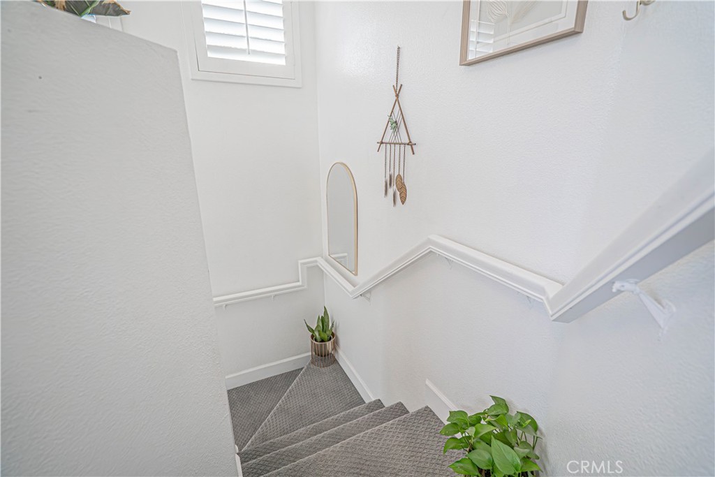 26943 Hillsborough Parkway 25 Property Photo 10
