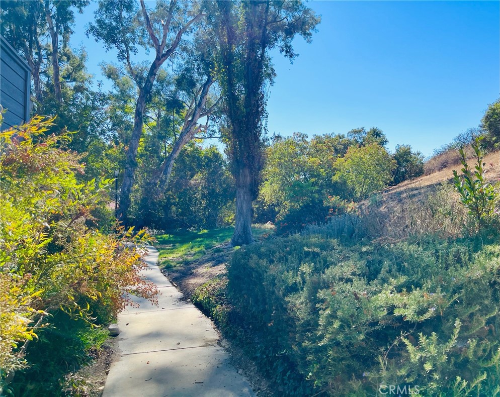 197 Via Colinas Property Photo 39