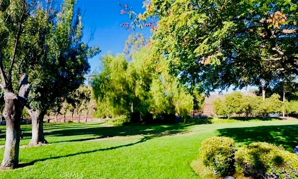197 Via Colinas Property Photo 41
