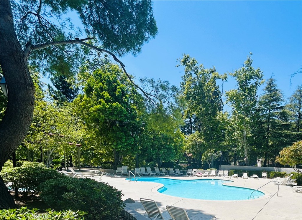 197 Via Colinas Property Photo 43