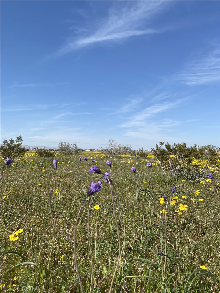 0 Vacant Land Property Photo 2