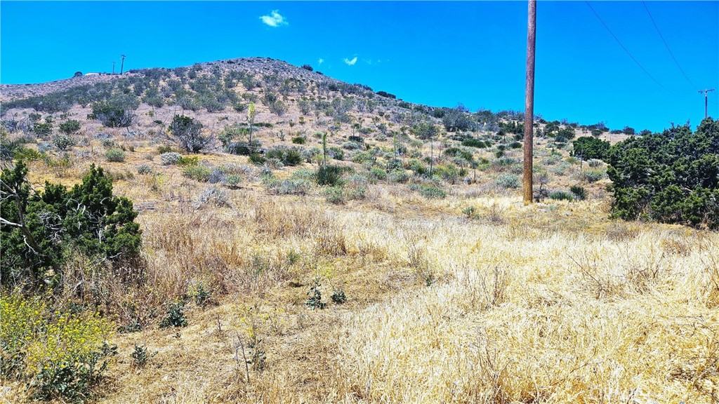 0 San Gabriel Property Photo 6