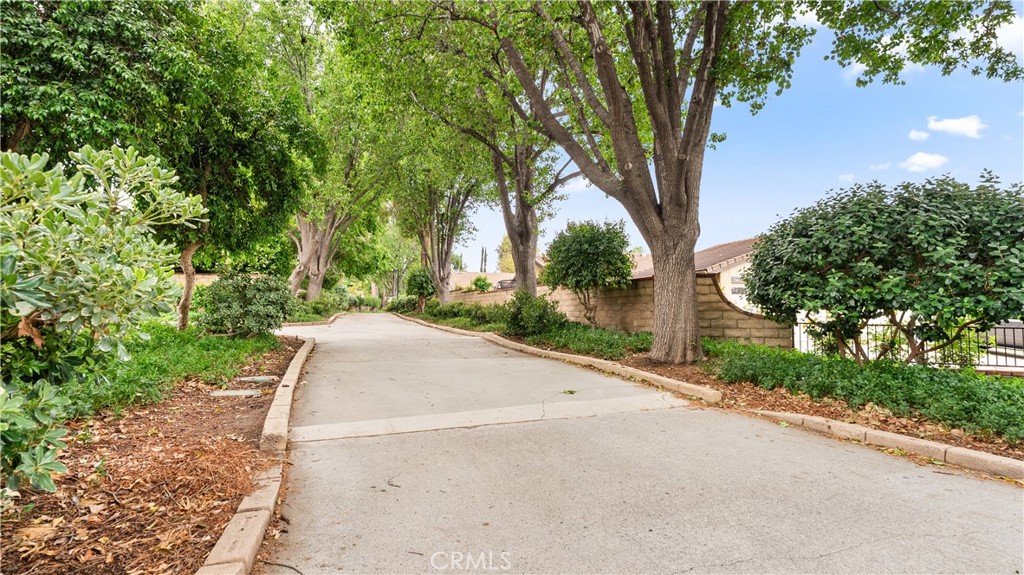 25651 Ramada Property Photo 25
