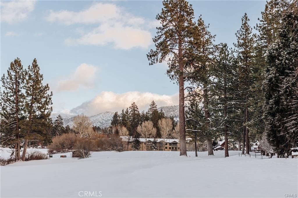 1021 Club View Property Photo 43