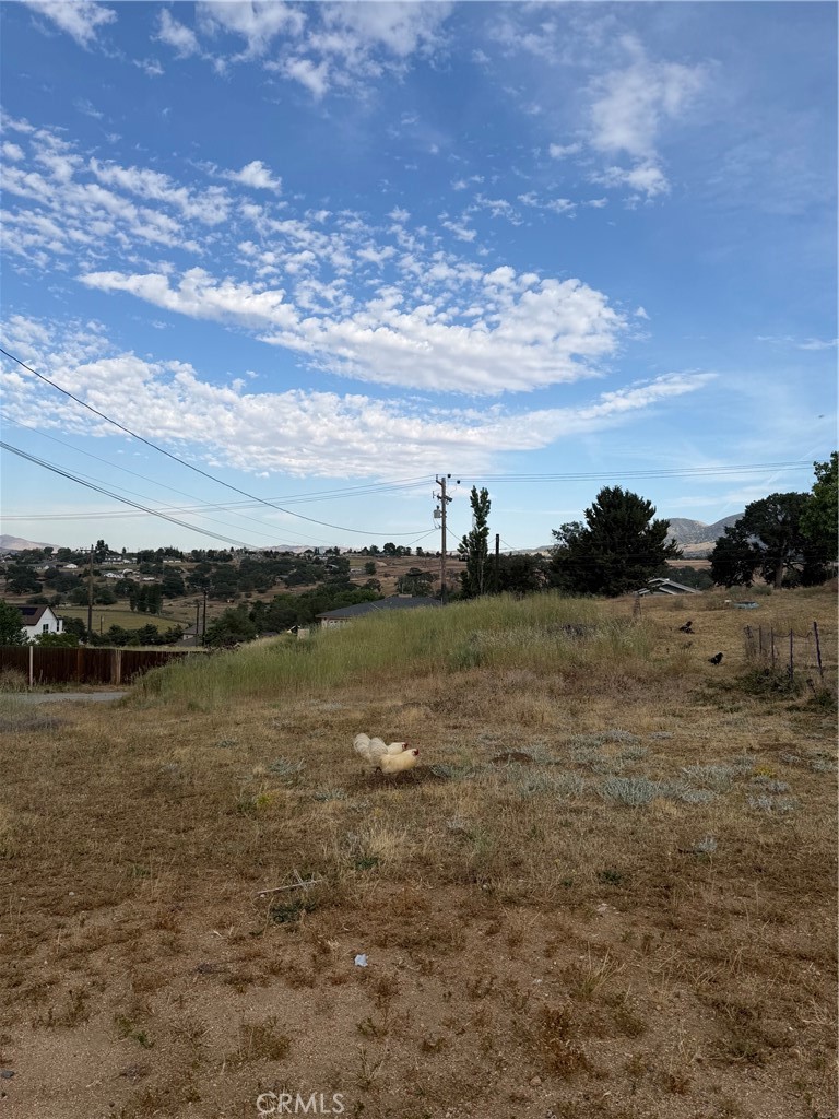 22117 Mccarthy Property Photo 3