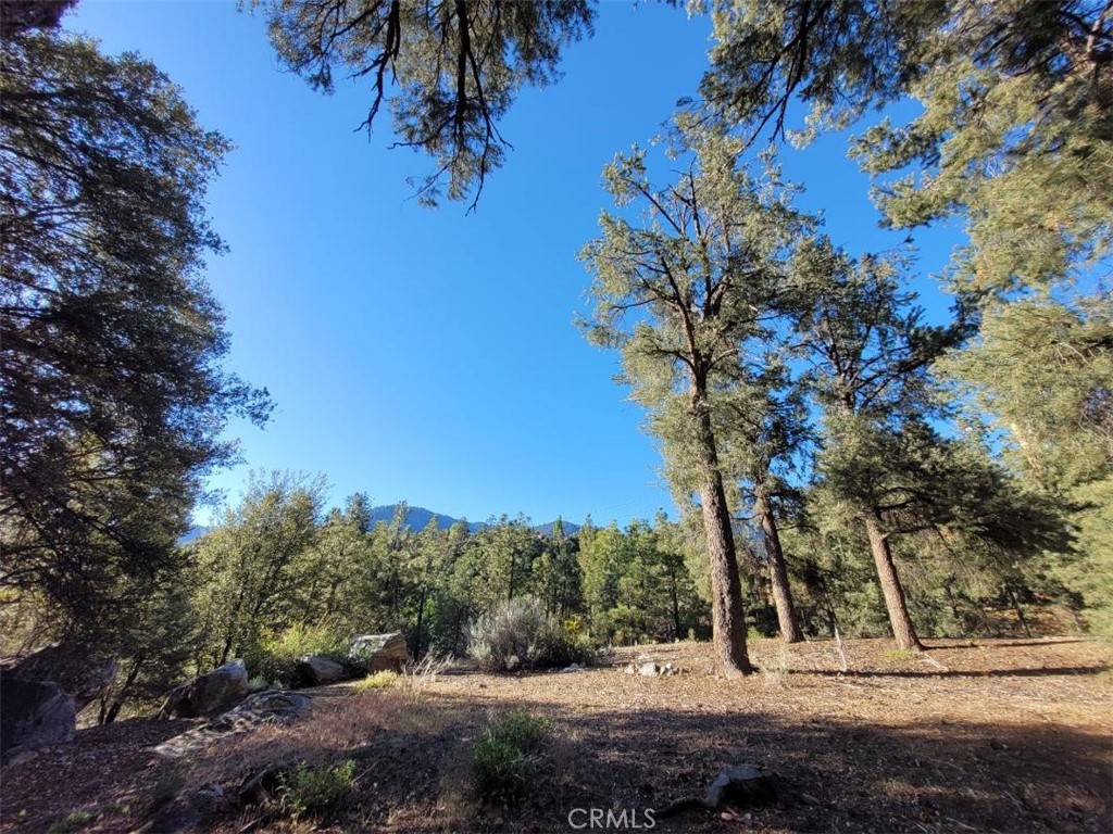15913 Wildwood Drive Property Photo 1