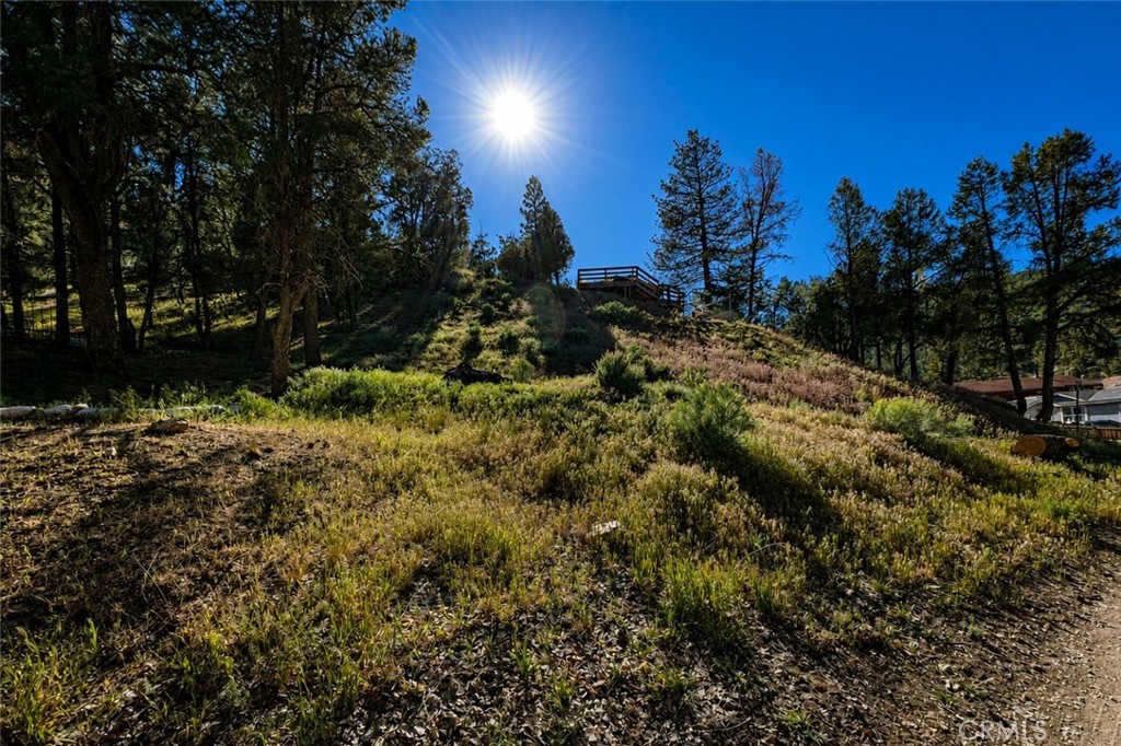 0 Foothill Drive Property Photo 4