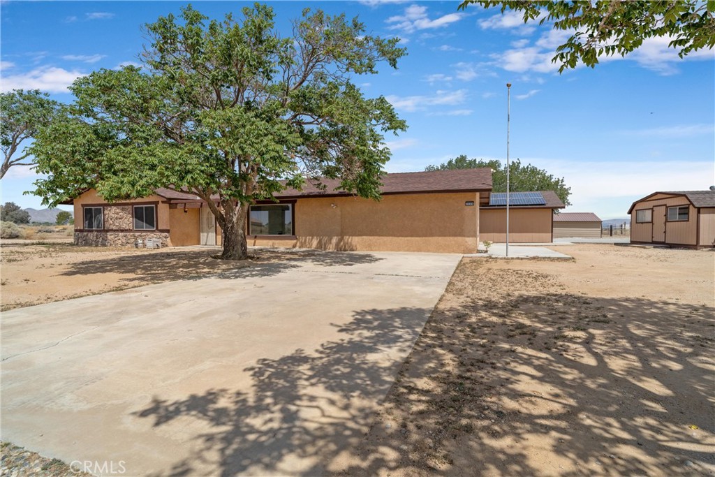 7435 Poppy Property Photo 5