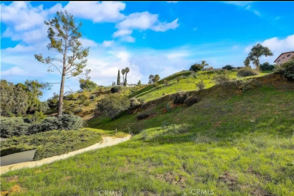 4340 San Blas Avenue Property Photo 13