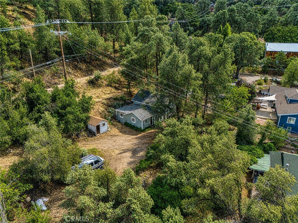 4013 Encino Property Photo 16