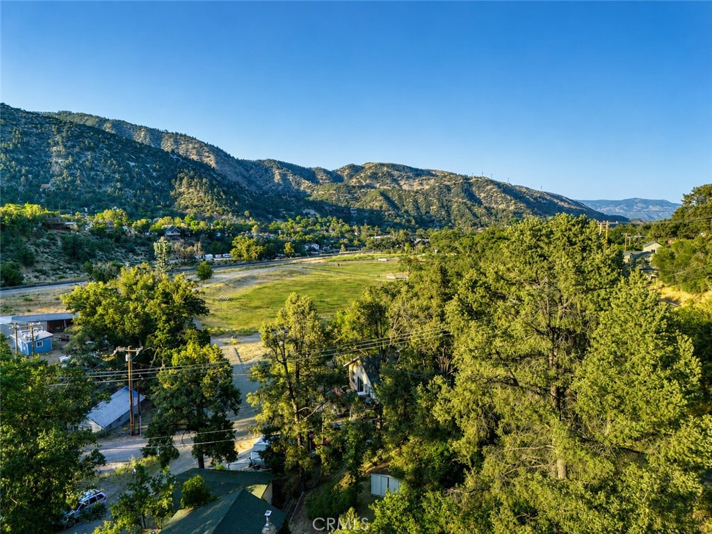 4013 Encino Property Photo 19