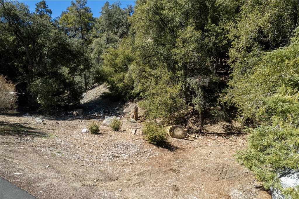 1301 Bernina Drive Property Photo 2
