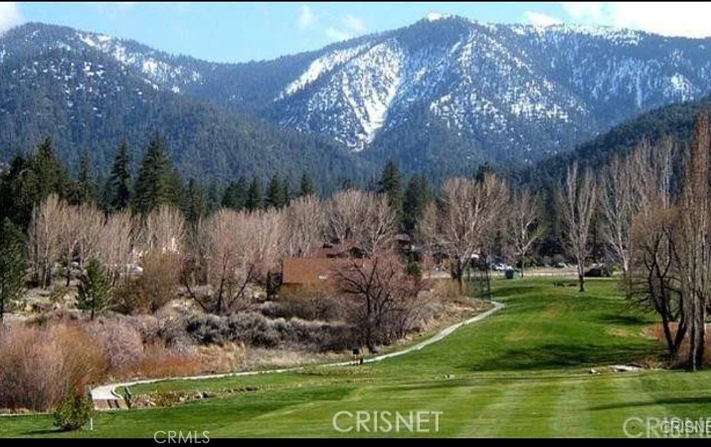 1301 Bernina Drive Property Photo 14