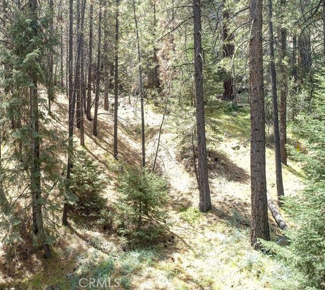 1316 Zermatt Court Property Photo 1