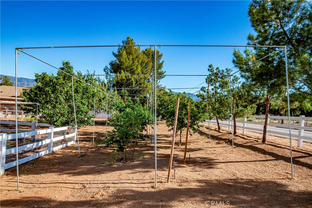 3621 Silver Spur Property Photo 45