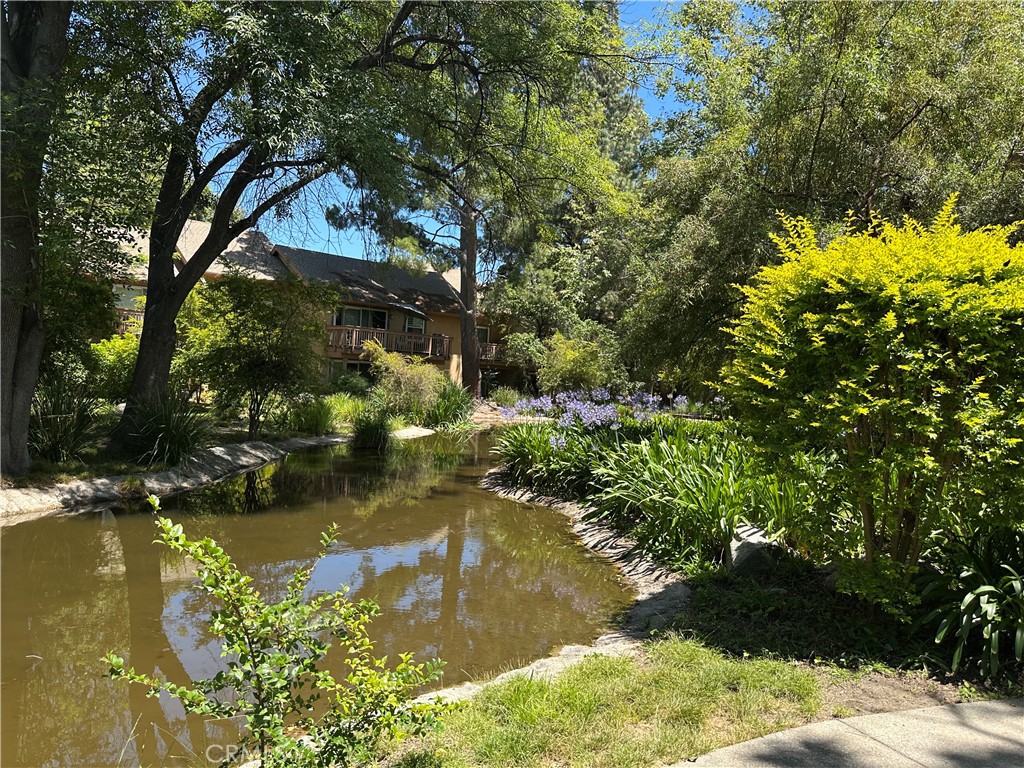 7050 Shoup 221 Property Photo 21