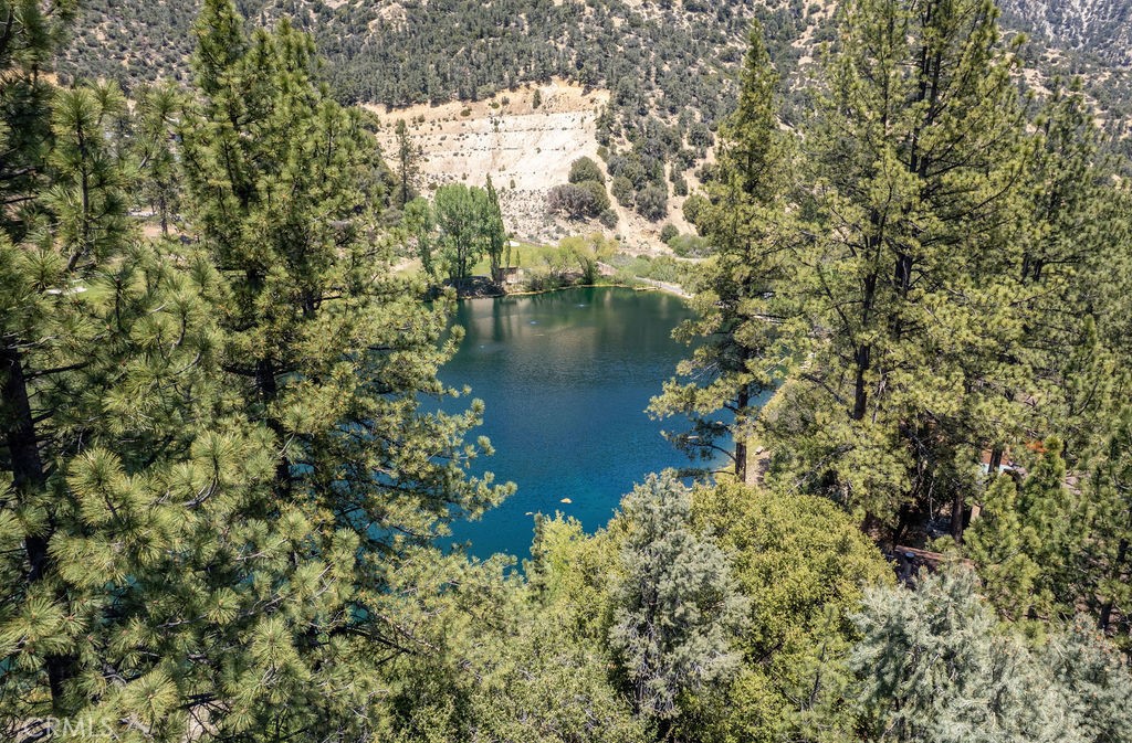 16101 Drive Edgewood Property Photo 10