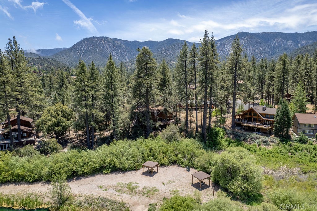 16101 Drive Edgewood Property Photo 13