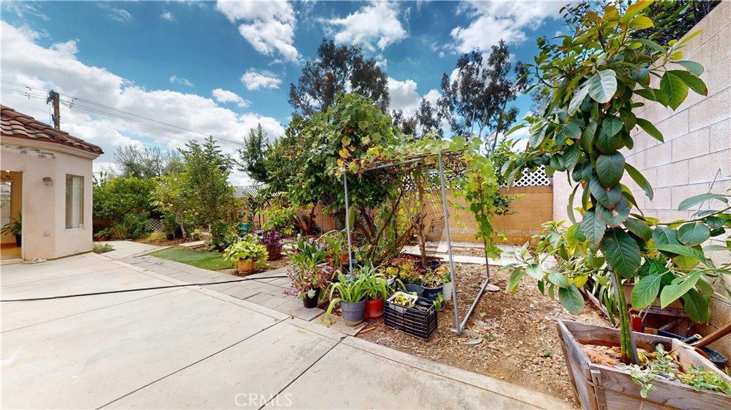 8132 Wagon Wheel Court Property Photo 51