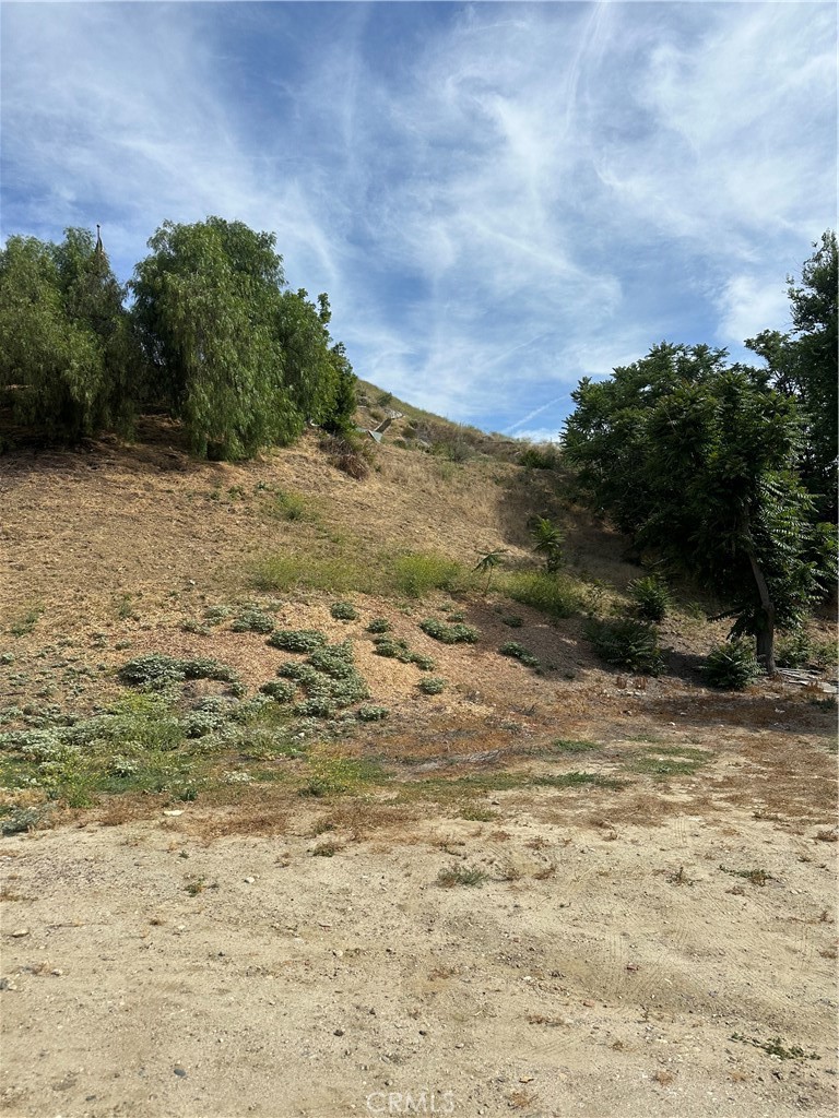 30021 Buchanan Property Photo 2