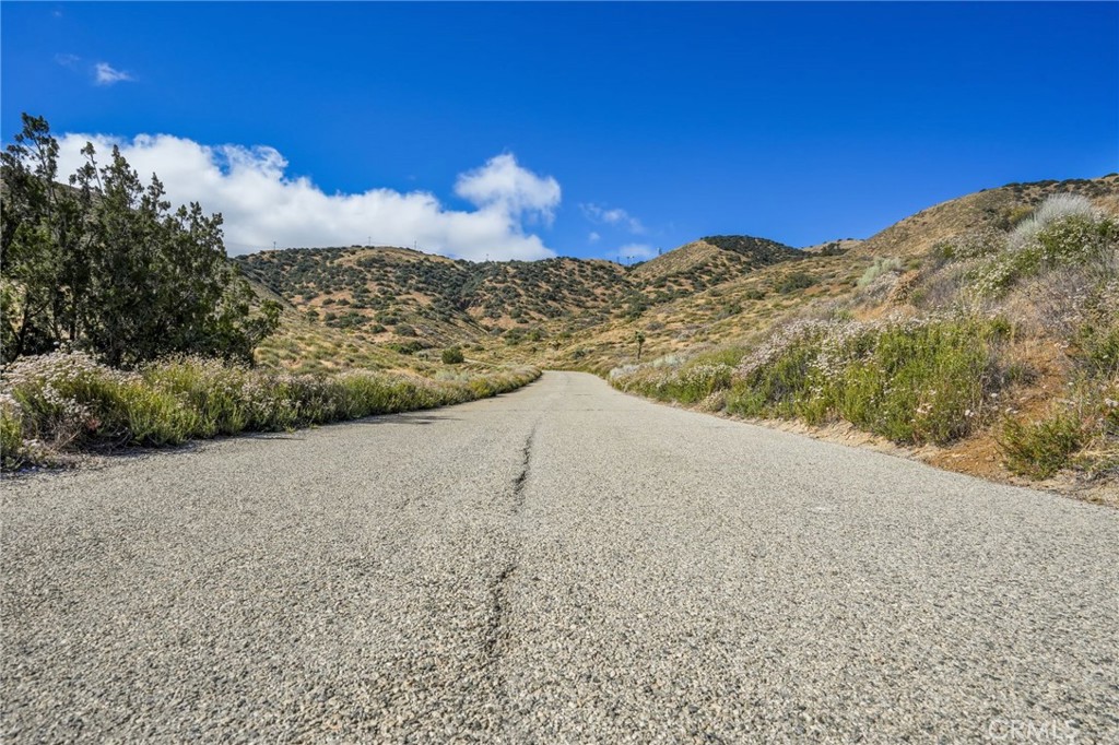 0 Tierra Subida Avenue Property Photo 4