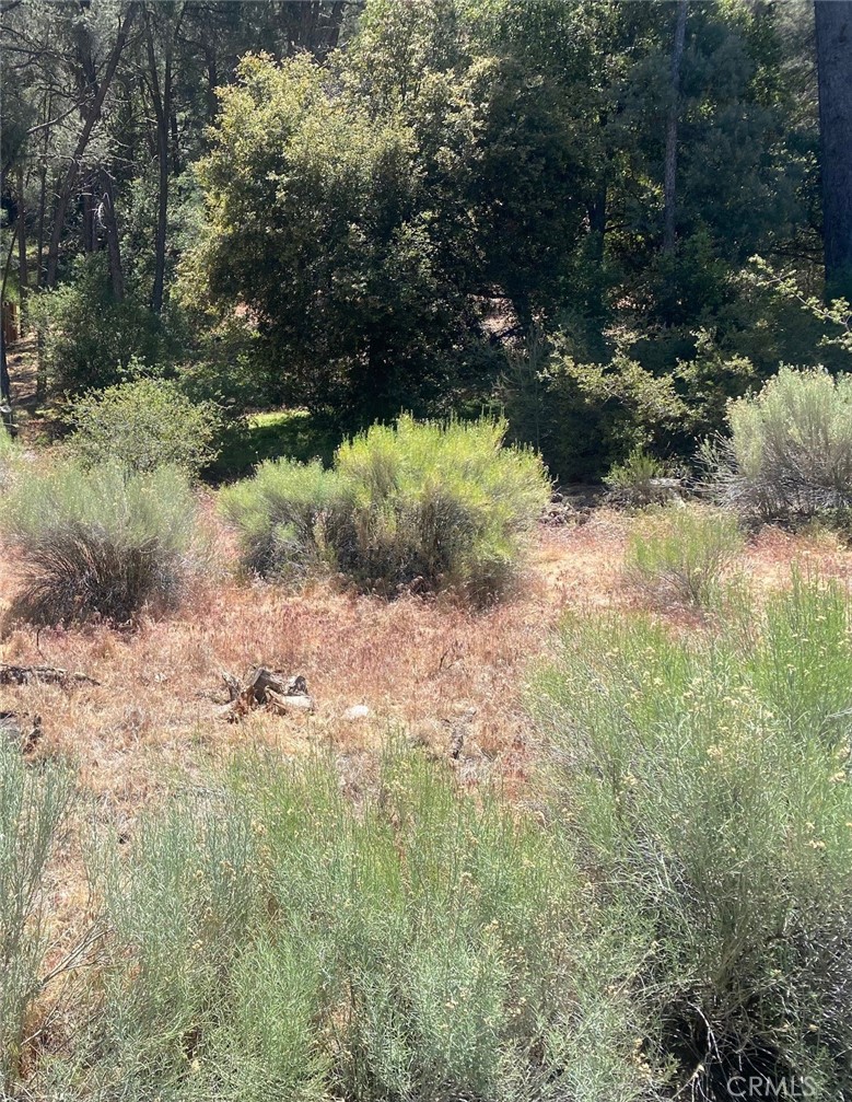 13708 Yellowstone Property Photo 1