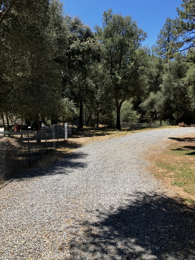 28919 Deer Creek Property Photo 3