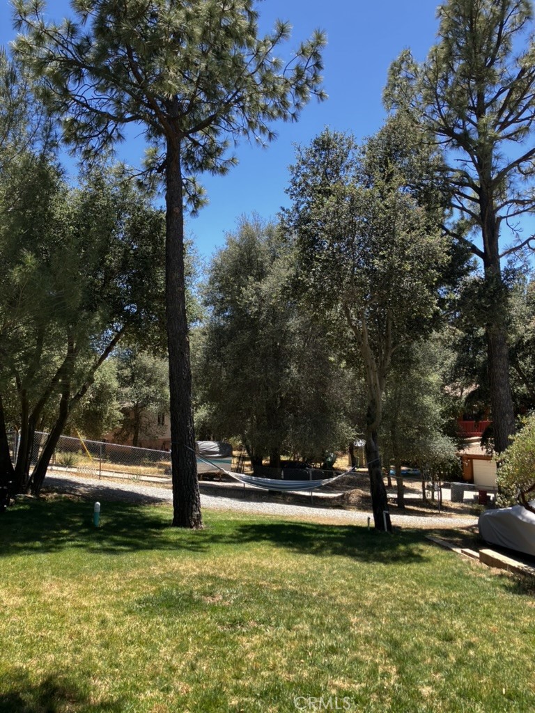 28919 Deer Creek Property Photo 4