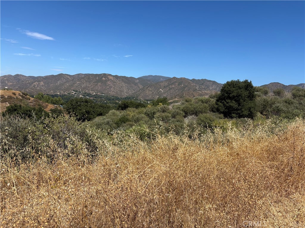 0 Pineview Property Photo 3