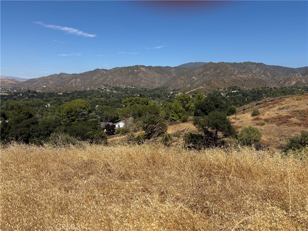 0 Pineview Property Photo 5