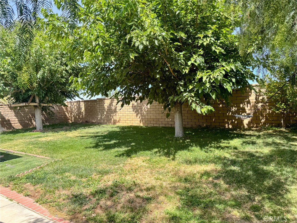 36648 Spanish Broom Drive Property Photo 14