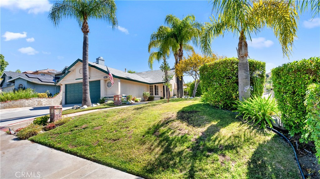 28924 Raintree Lane Property Photo 3