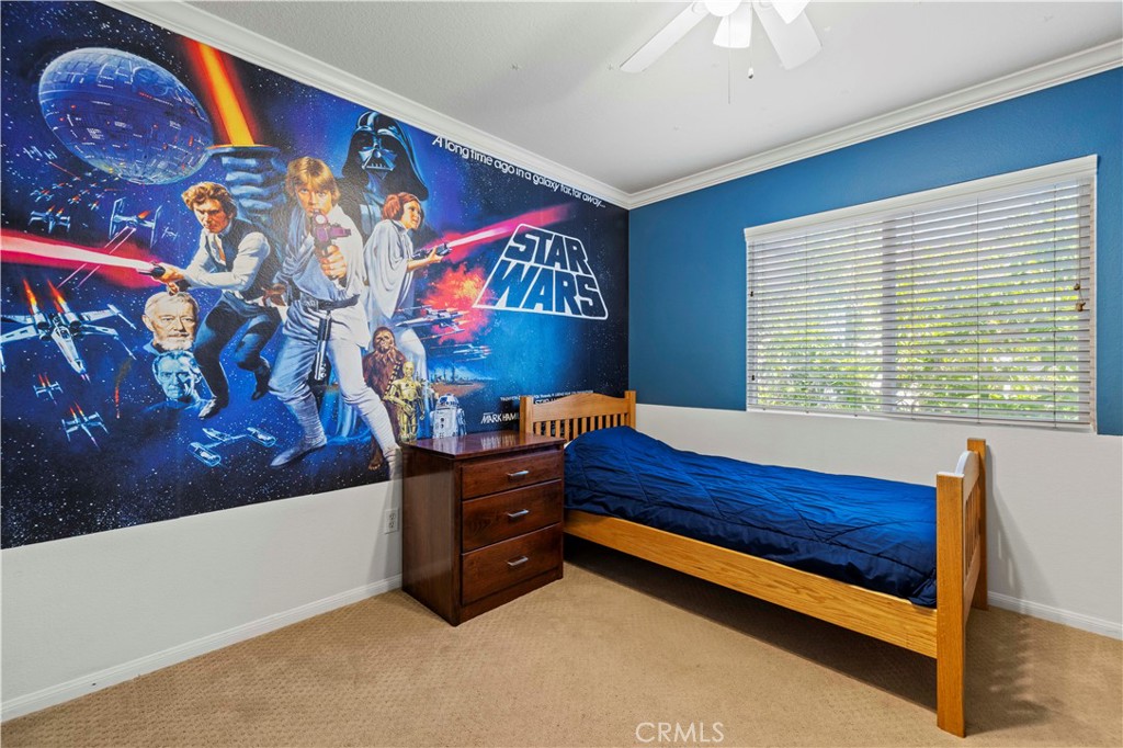 30479 Mallorca Pl Property Photo 47